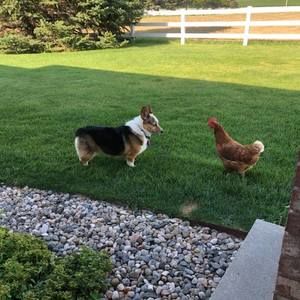 Meet your Posher, Diane